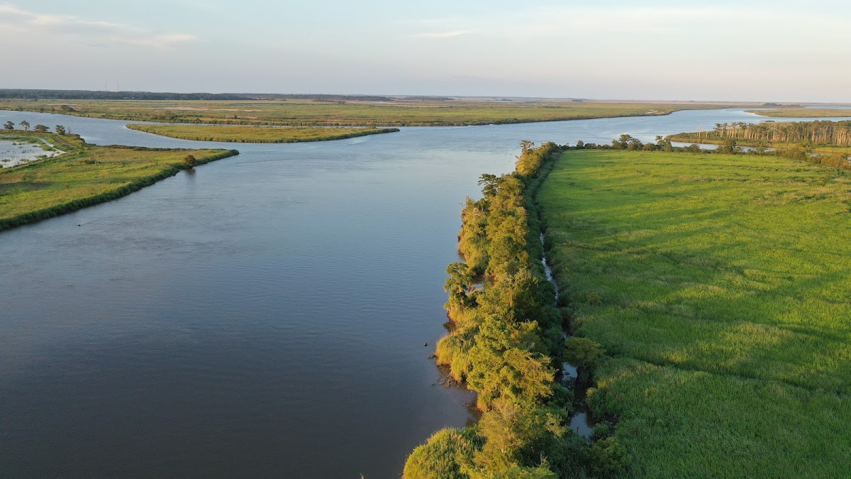 Altamaha River boat ramp area
