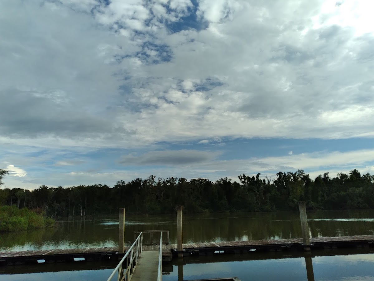 Apalachicola River, Florida