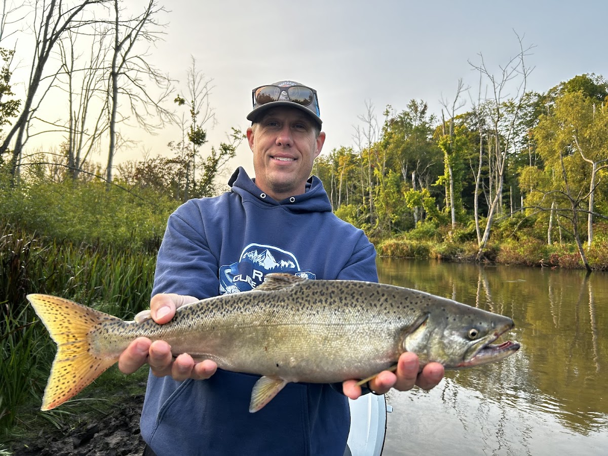 Betsie River, Michigan
