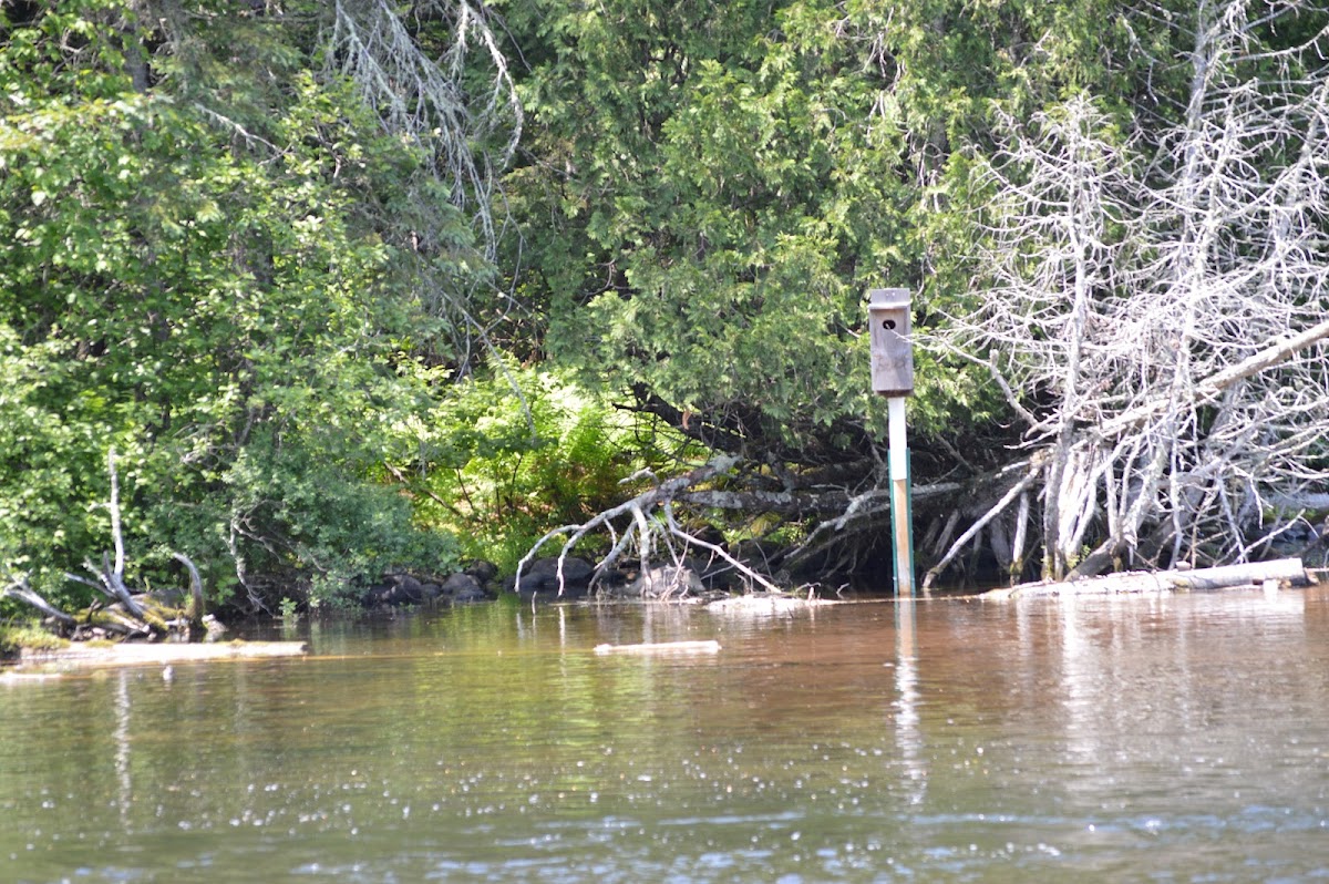 Brule River, Wisconsin
