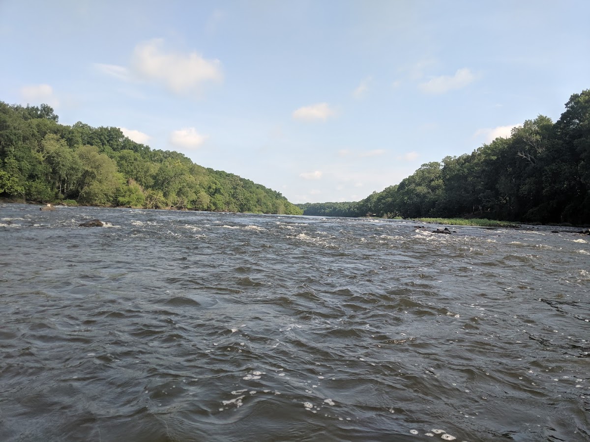 CAPE FEAR RIVER, North Carolina