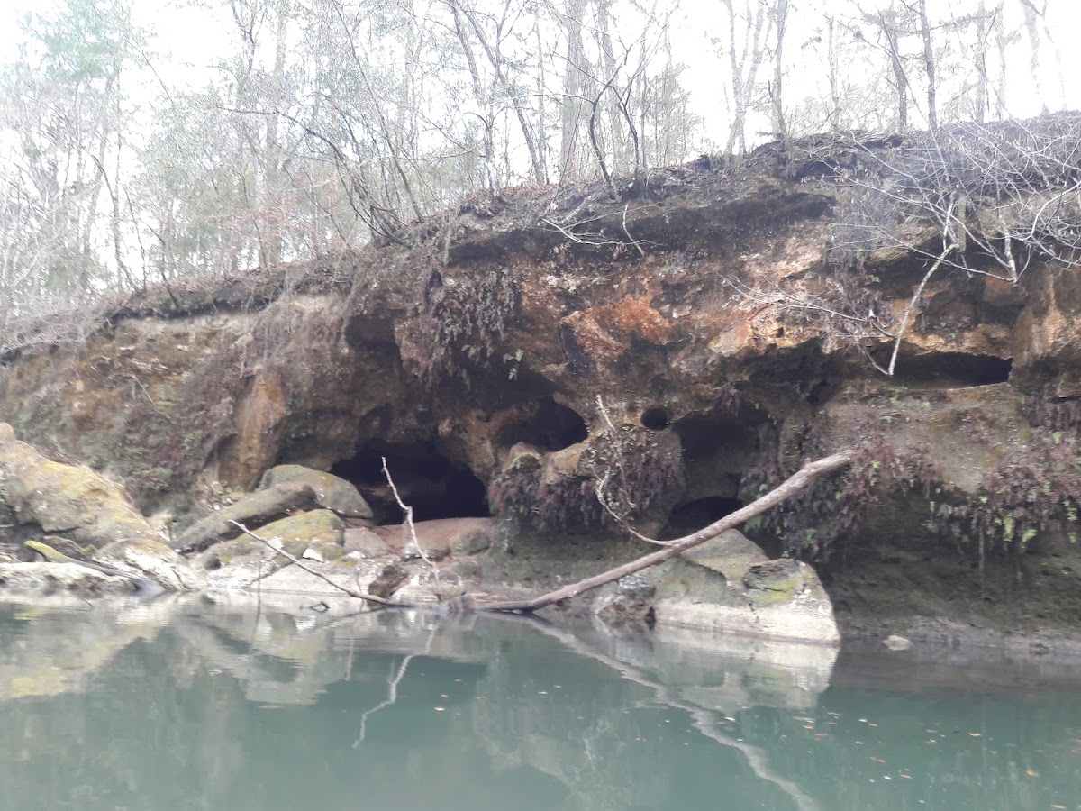 Chipola River, Florida
