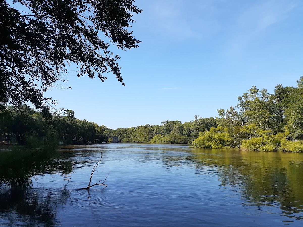 Choctawhatchee River, Florida
