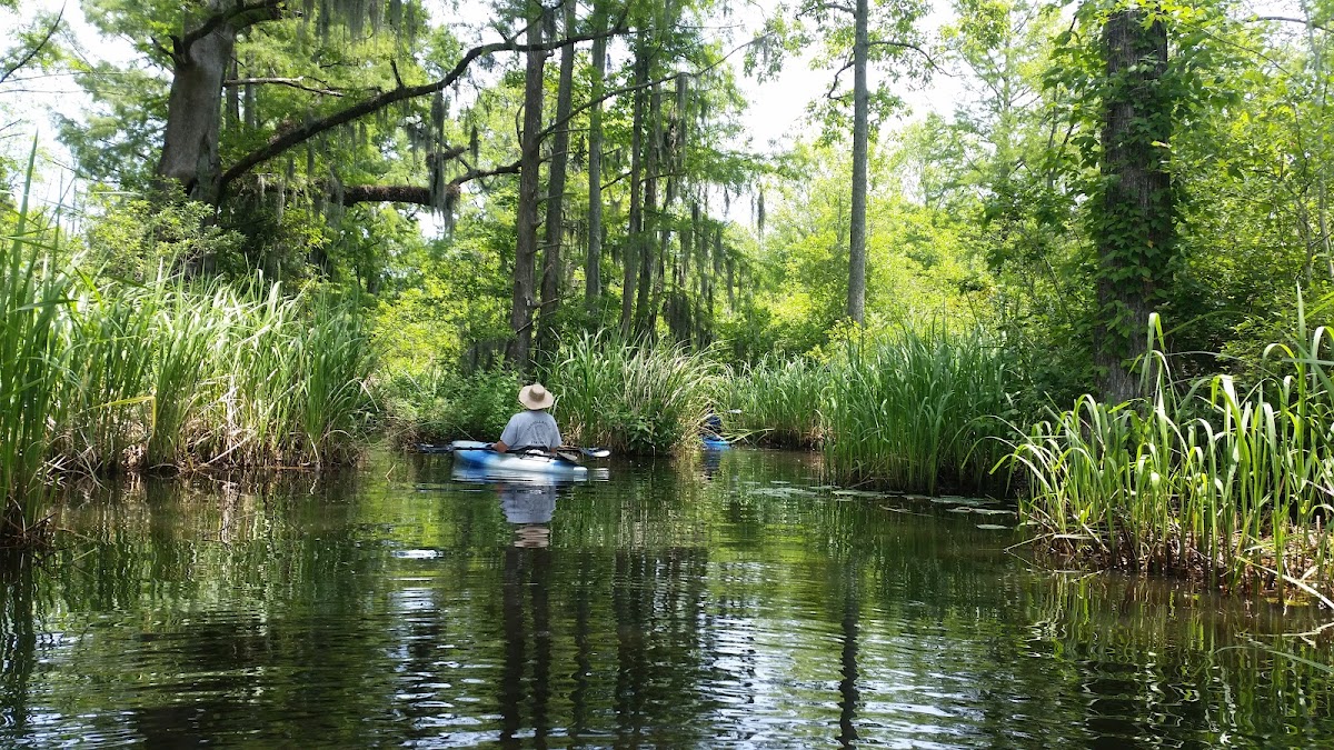 CHOWAN RIVER, North Carolina