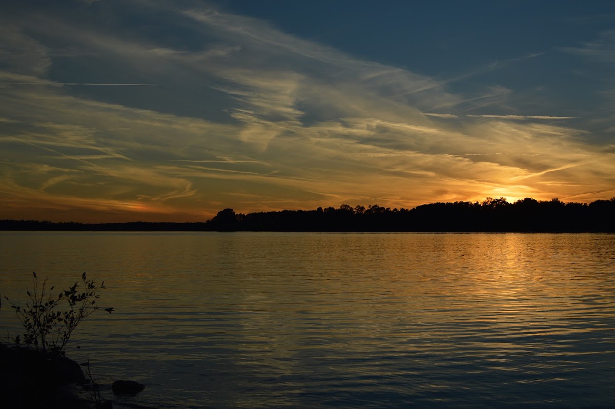 Clarks Hill Lake boat ramp area