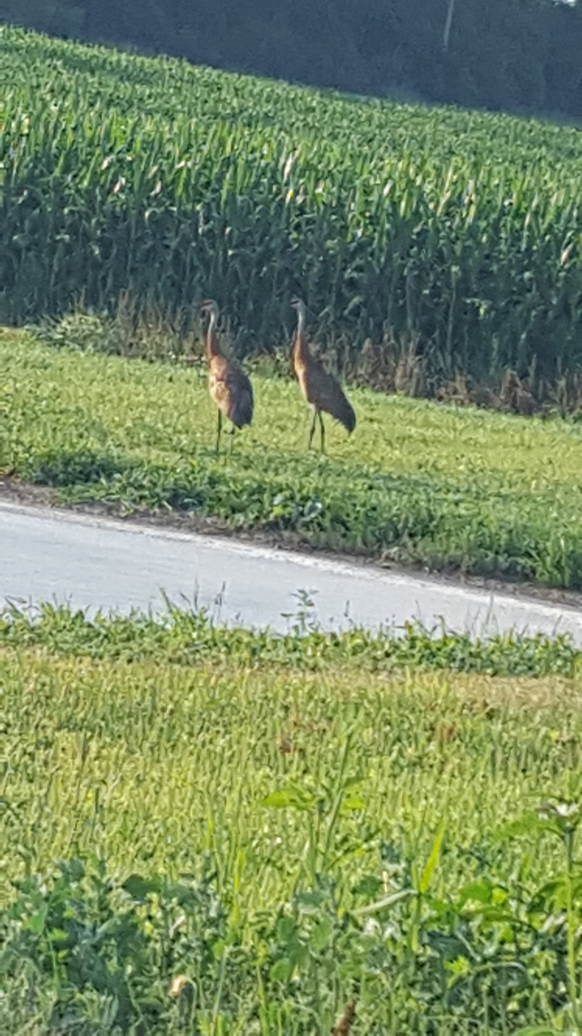 Clear Lake, Wisconsin