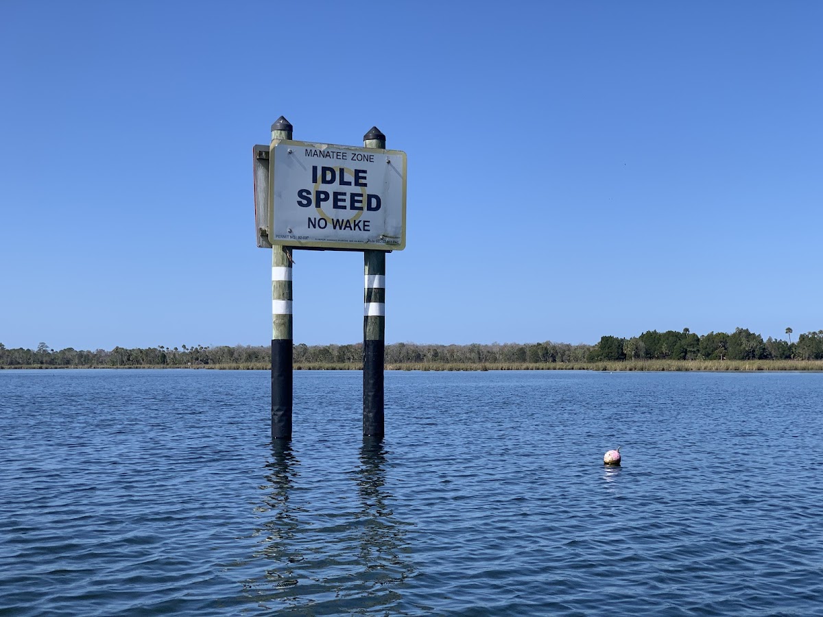 Crystal River - Kings Bay, Florida