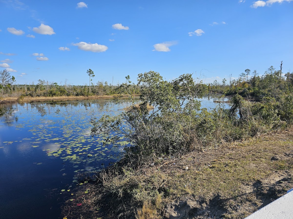 Deer Point Lake, Florida