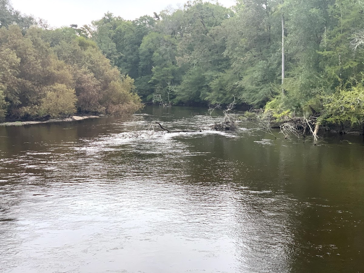 Edisto River, South Carolina