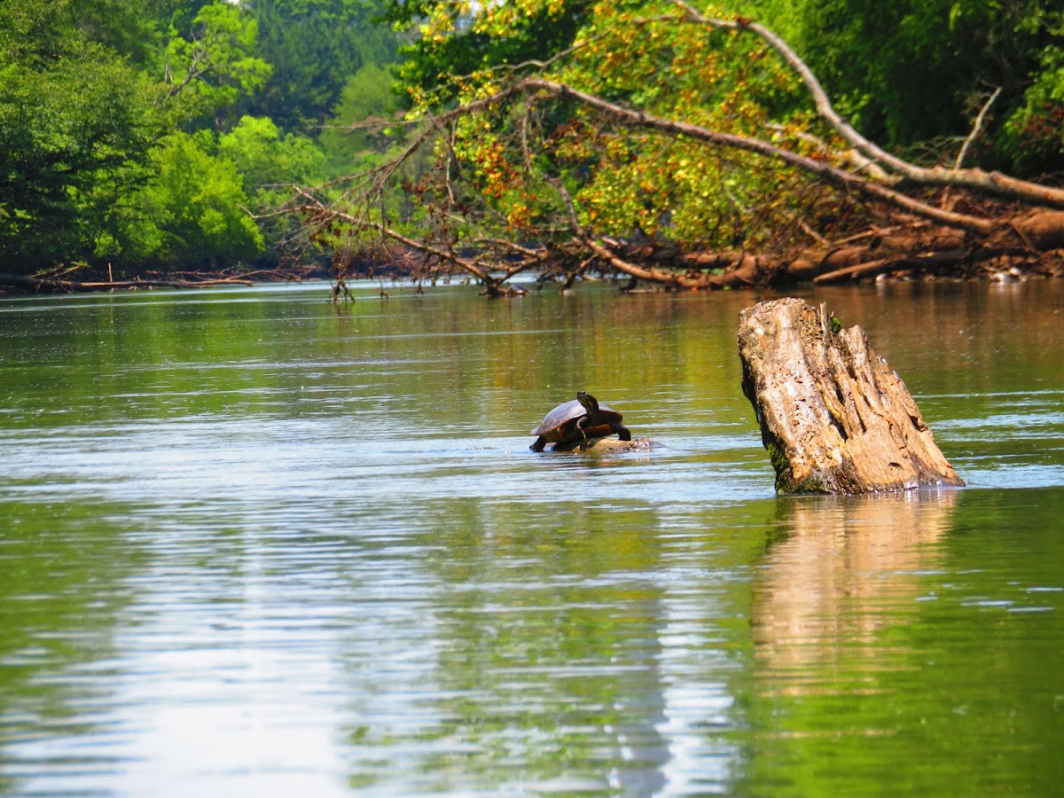 Etowah River, Georgia