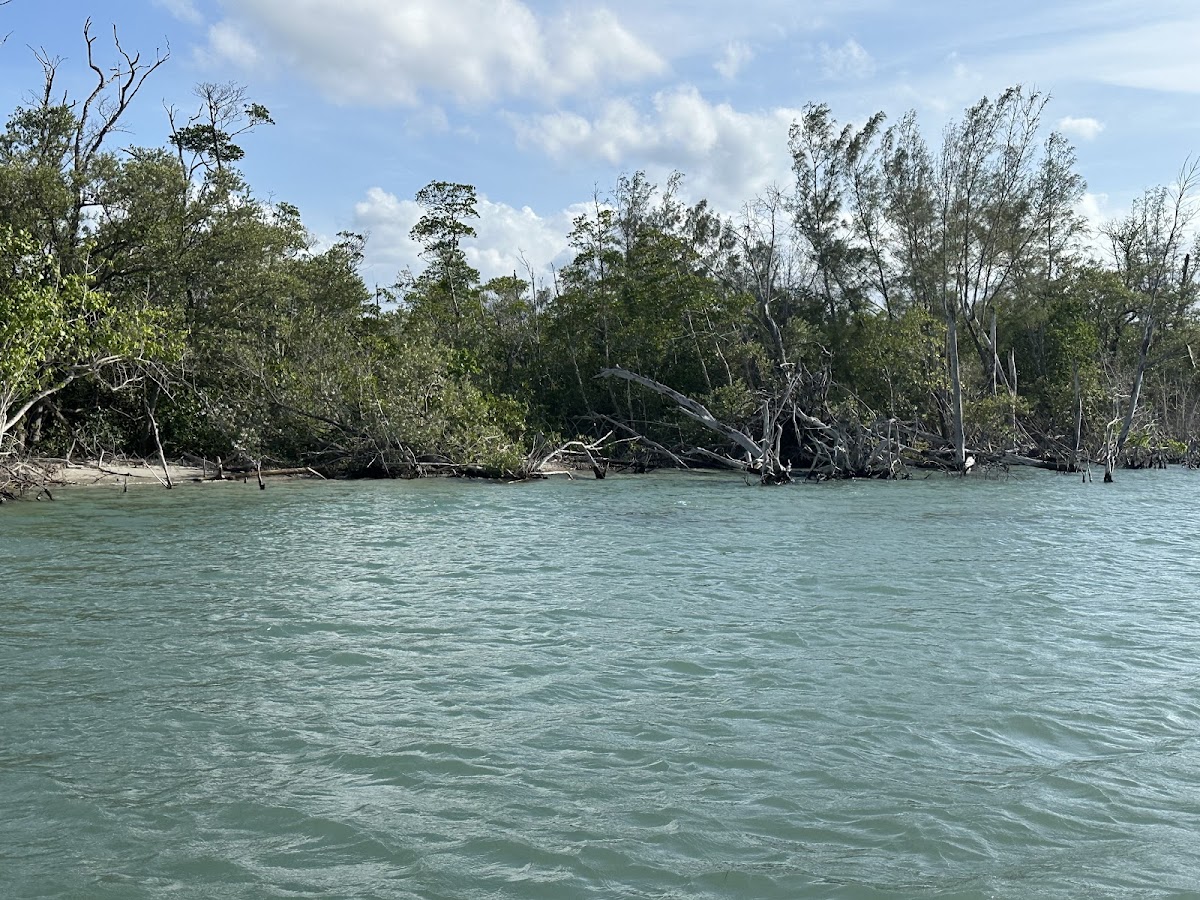 Indian River Lagoon, Florida