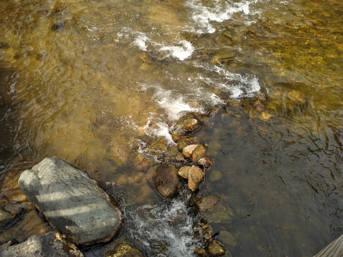 Jordan River, Michigan