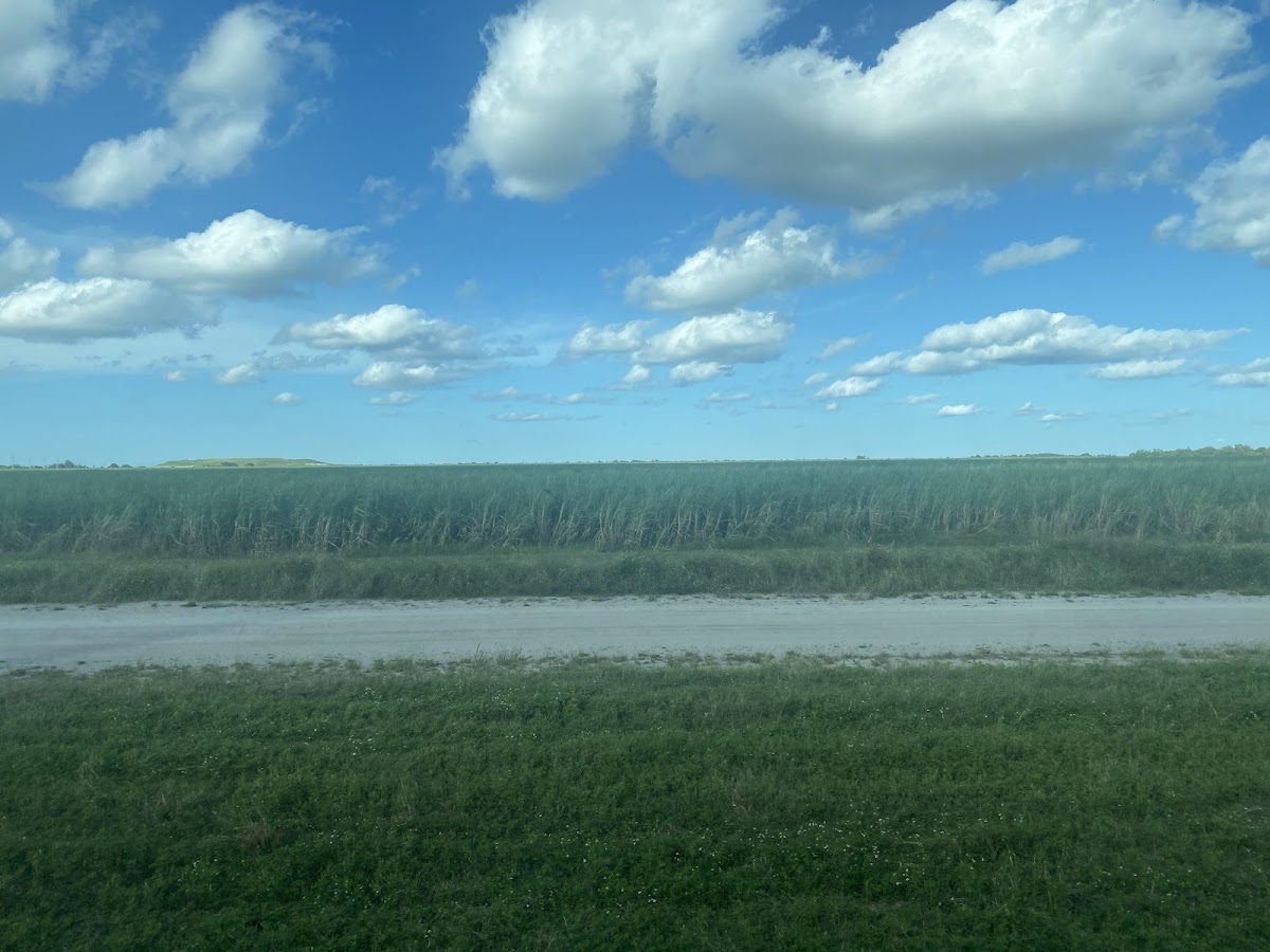 Kissimmee River, Florida