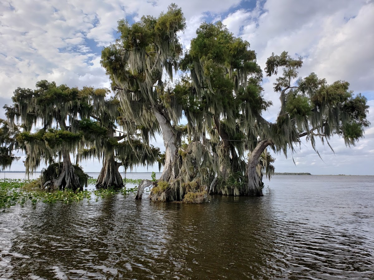 Lake Istokpoga, Florida