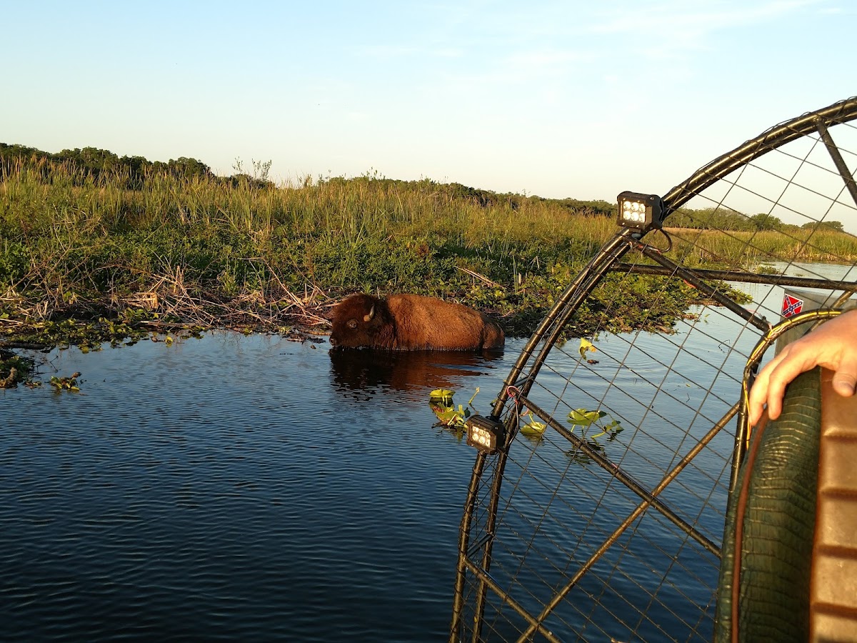 Lake Kissimmee, Florida