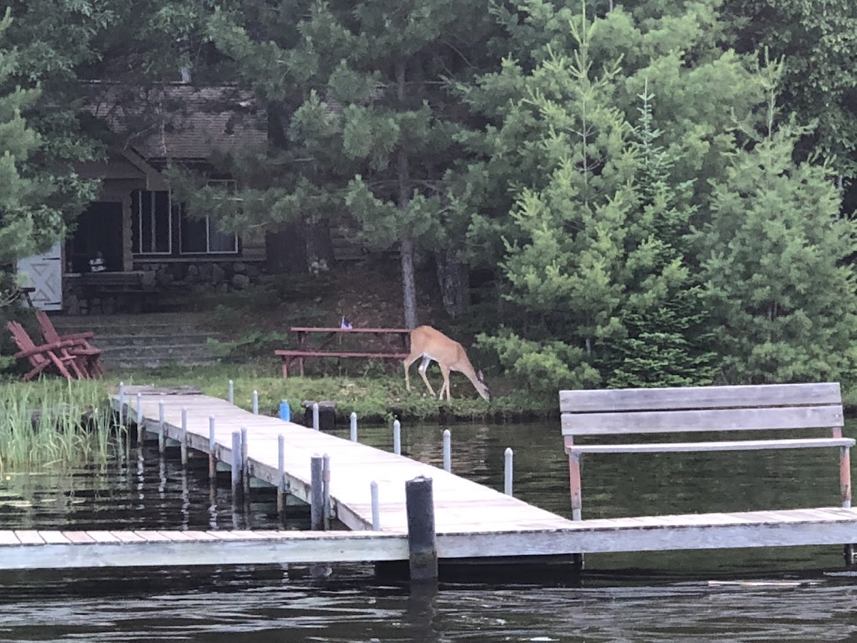 Lost Lake, Wisconsin