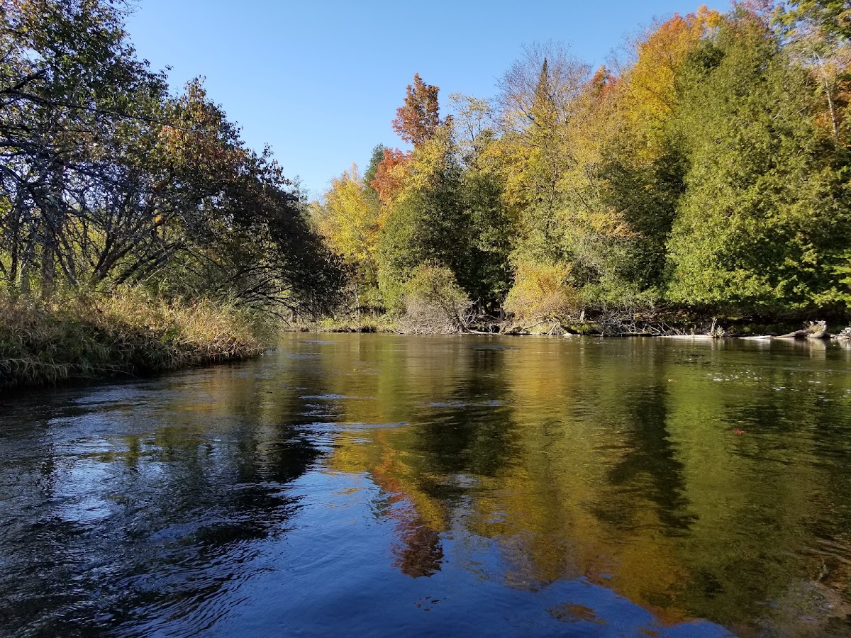 Manistee River, Michigan