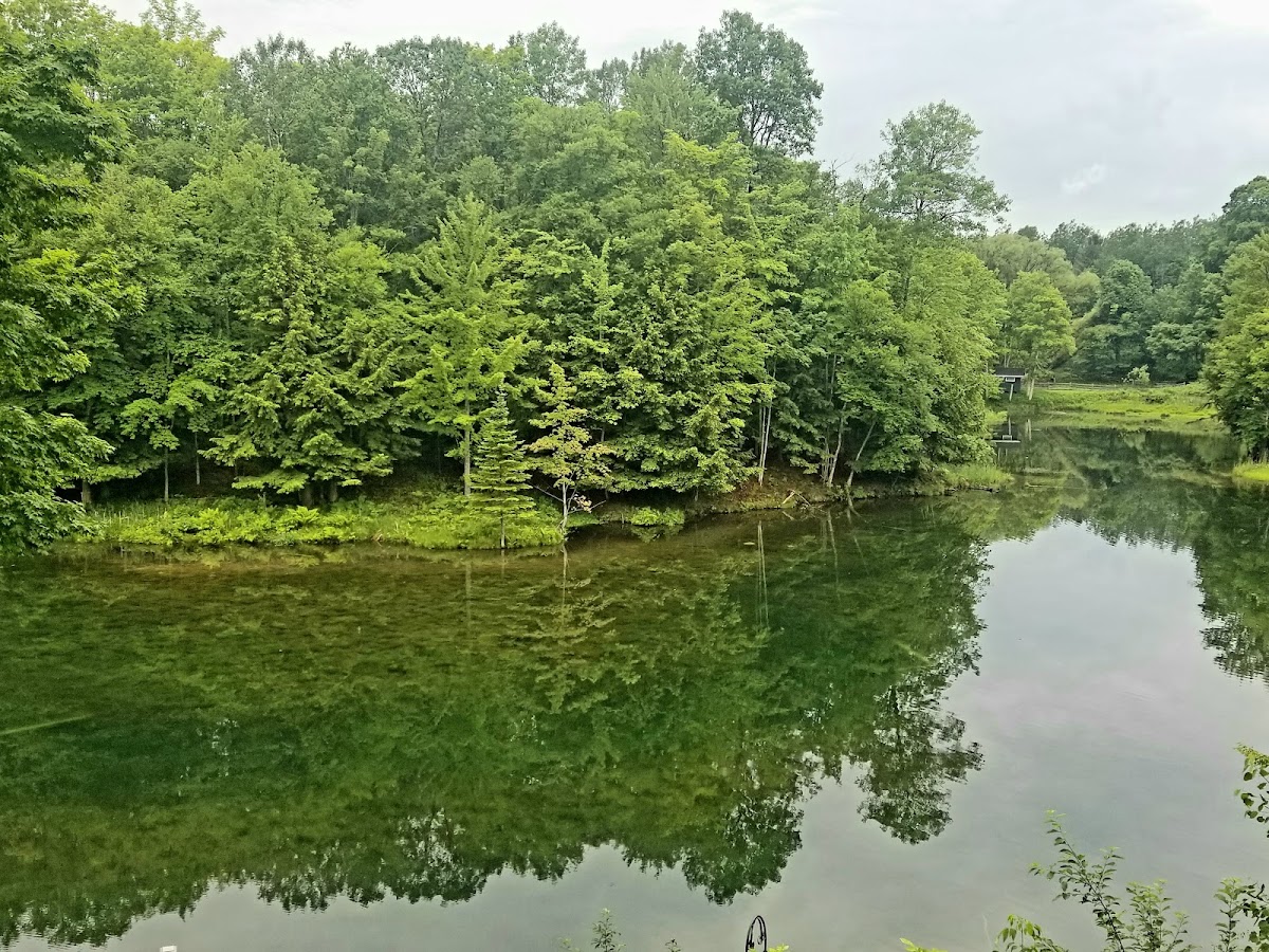 Maple River, Michigan
