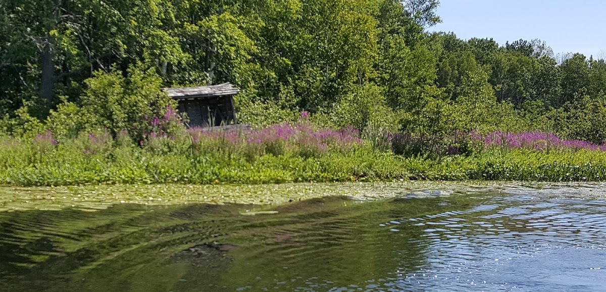 Martiny Lake, Michigan