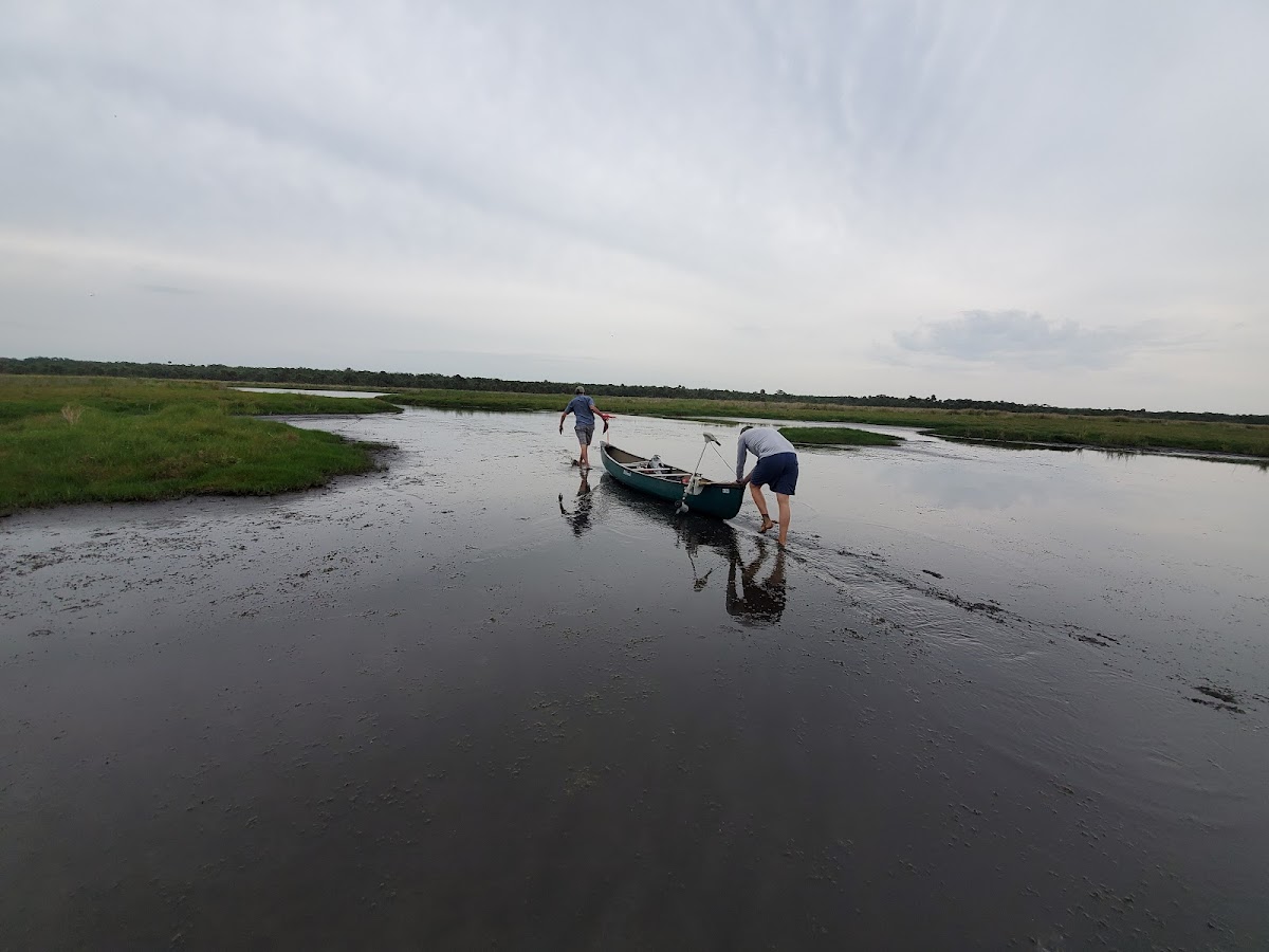 Mosquito Lagoon, Florida