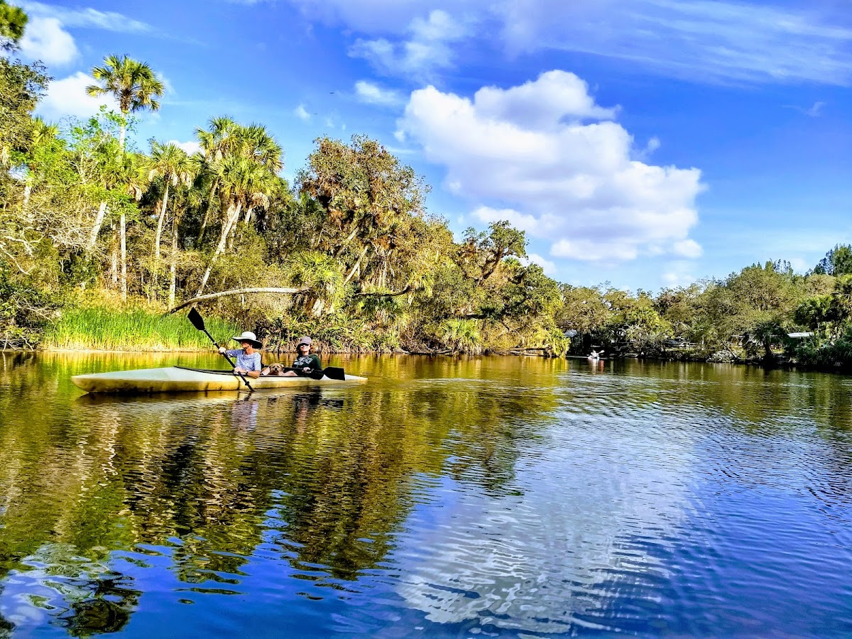 Myakka River, Florida