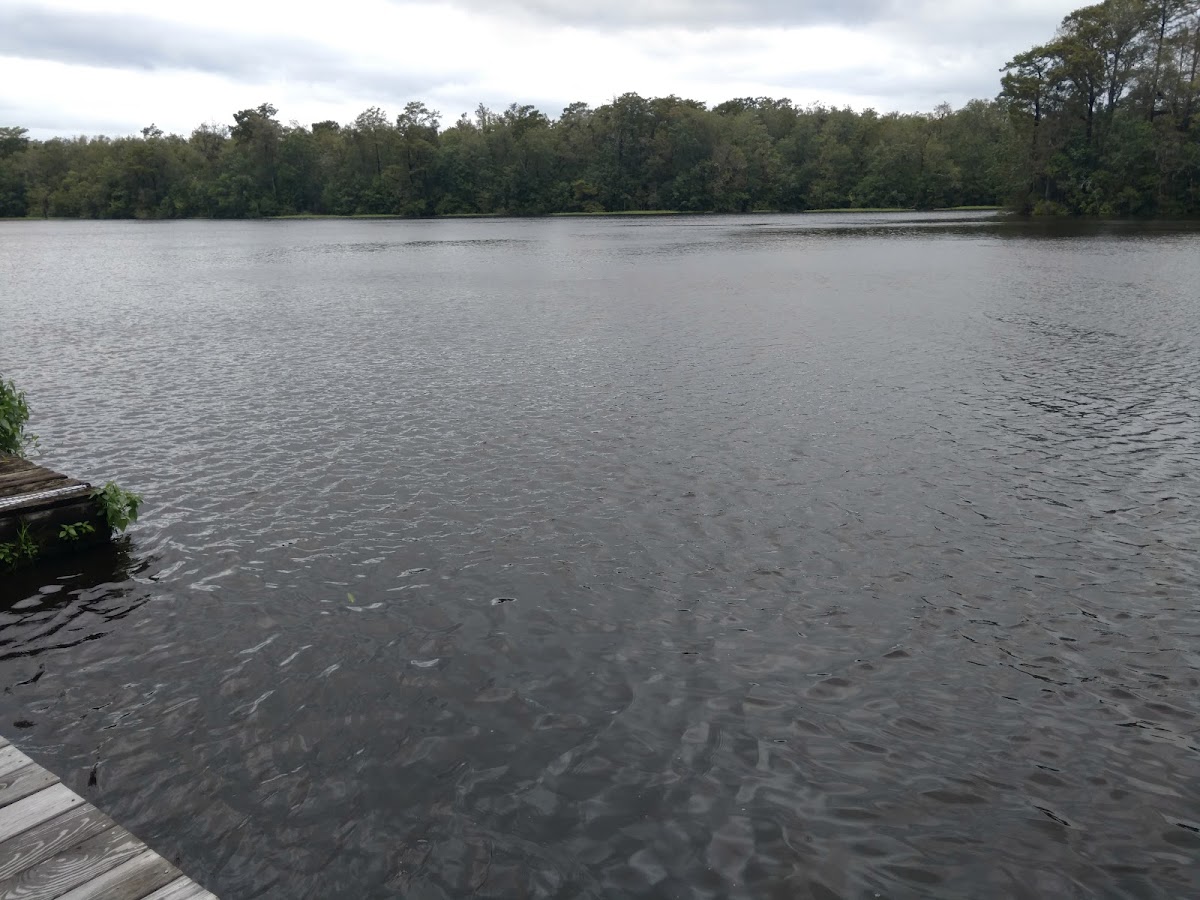 NORTHEAST CAPE FEAR RIVER, North Carolina