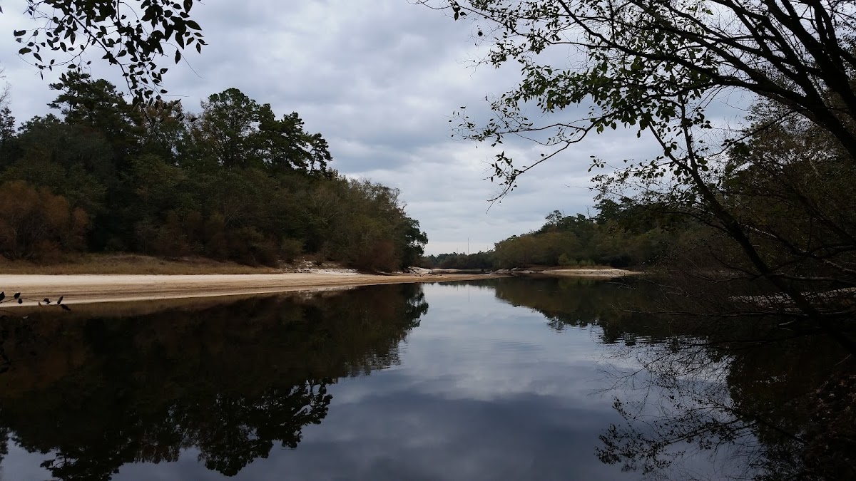 Ochlockonee River - Lake Talquin, Florida
