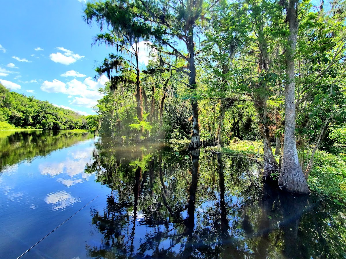 Ocklawaha River, Florida