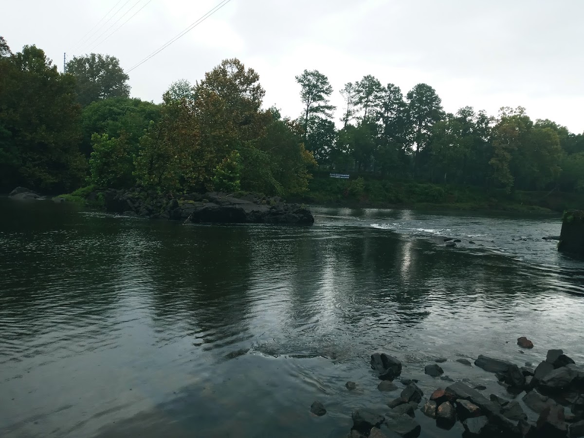 Oconee River boat ramp area