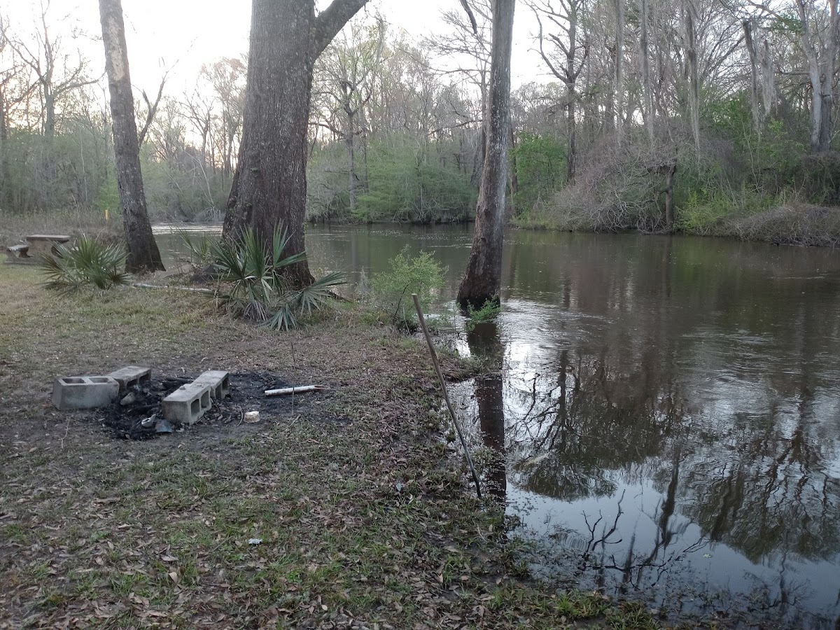 Ogeechee River, Georgia