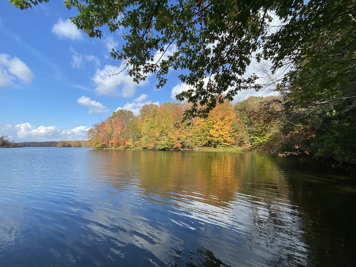 Otter Lake, Wisconsin