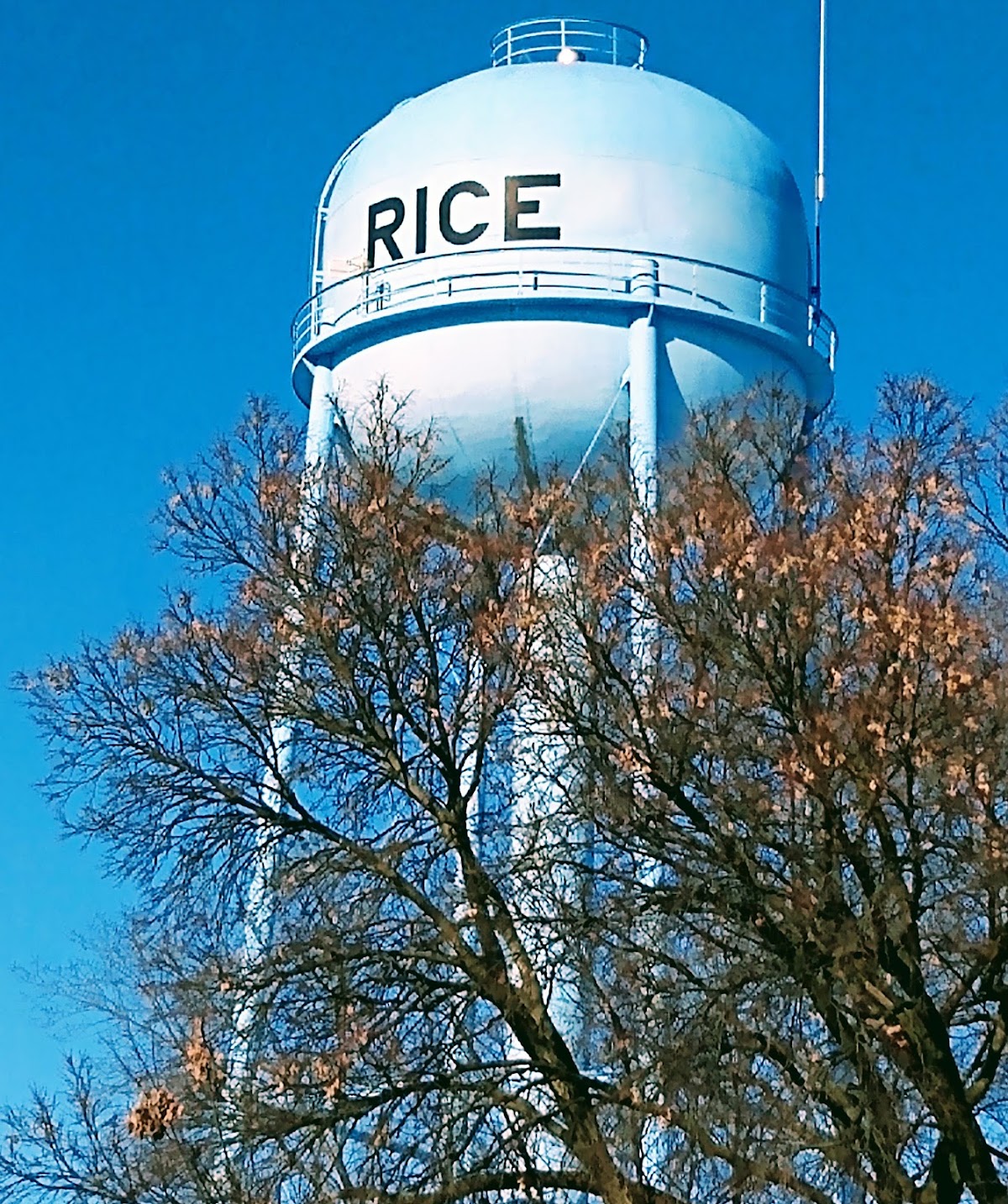 Rice, Minnesota