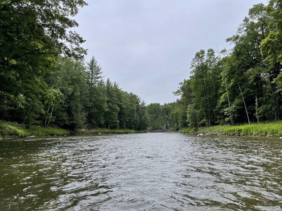 Rifle River, Michigan