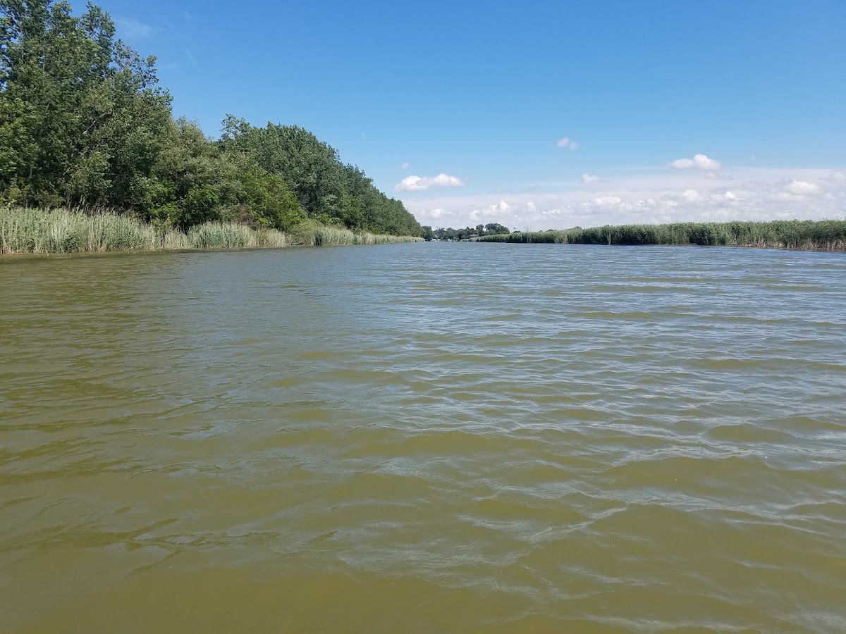 Saginaw Bay, Michigan