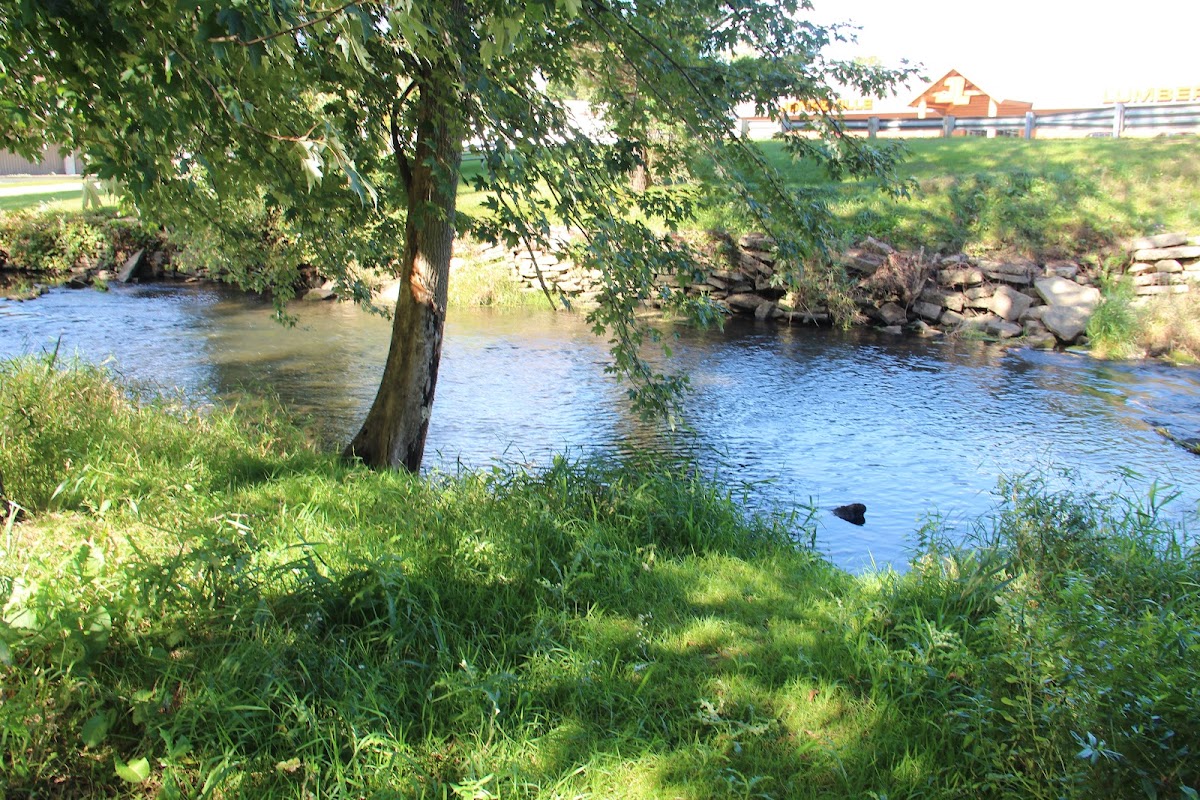 Saint Joseph River, Michigan