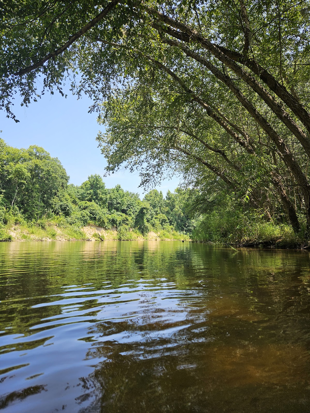 Santee River, South Carolina