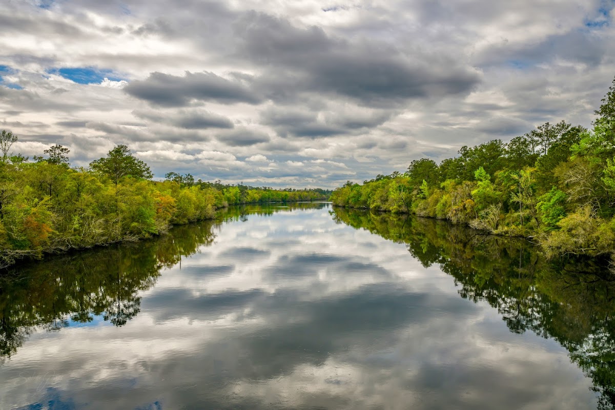 Satilla River boat ramp area