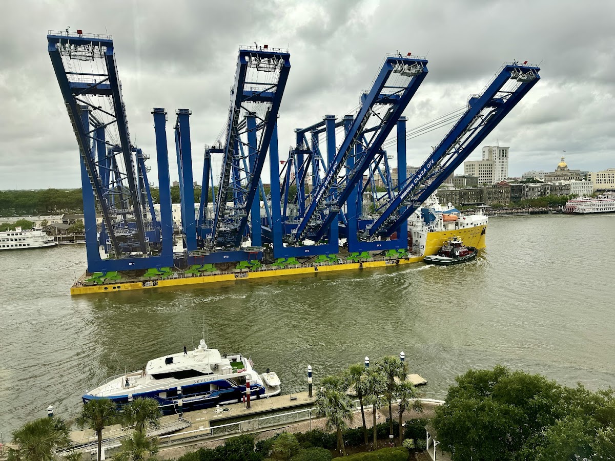 Savannah River boat ramp area