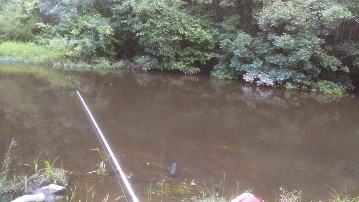 South Fork Edisto River, South Carolina