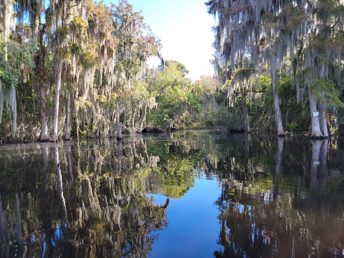 St. Johns River - Lake George, Florida