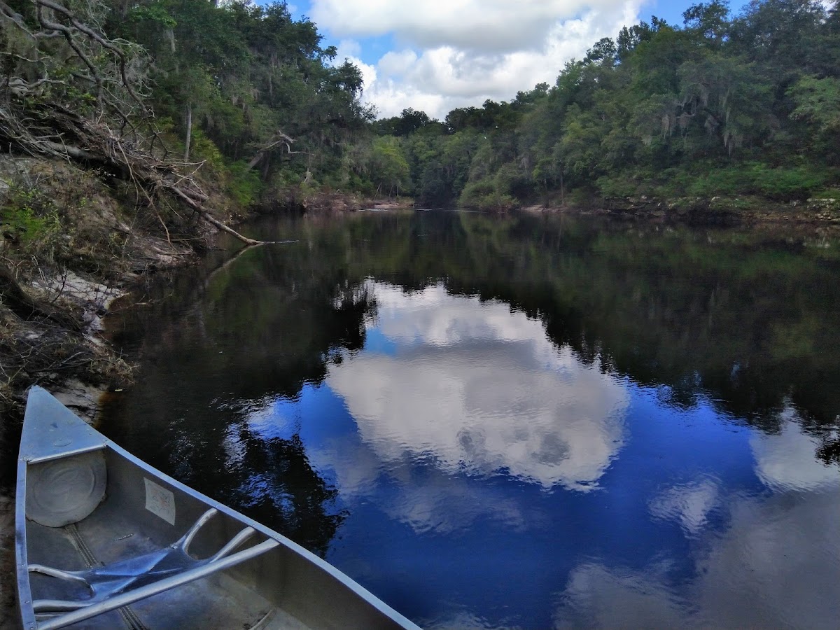 Suwannee River, Florida