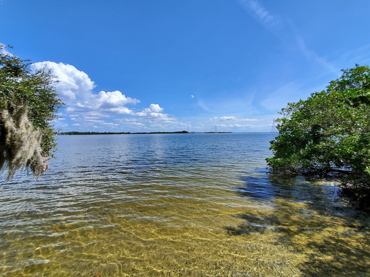 Tampa Bay - Old Tampa Bay - Eastern Shore, Florida