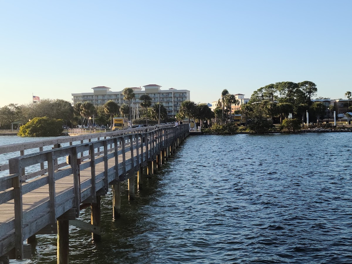 Tampa Bay - Safety Harbor, Florida