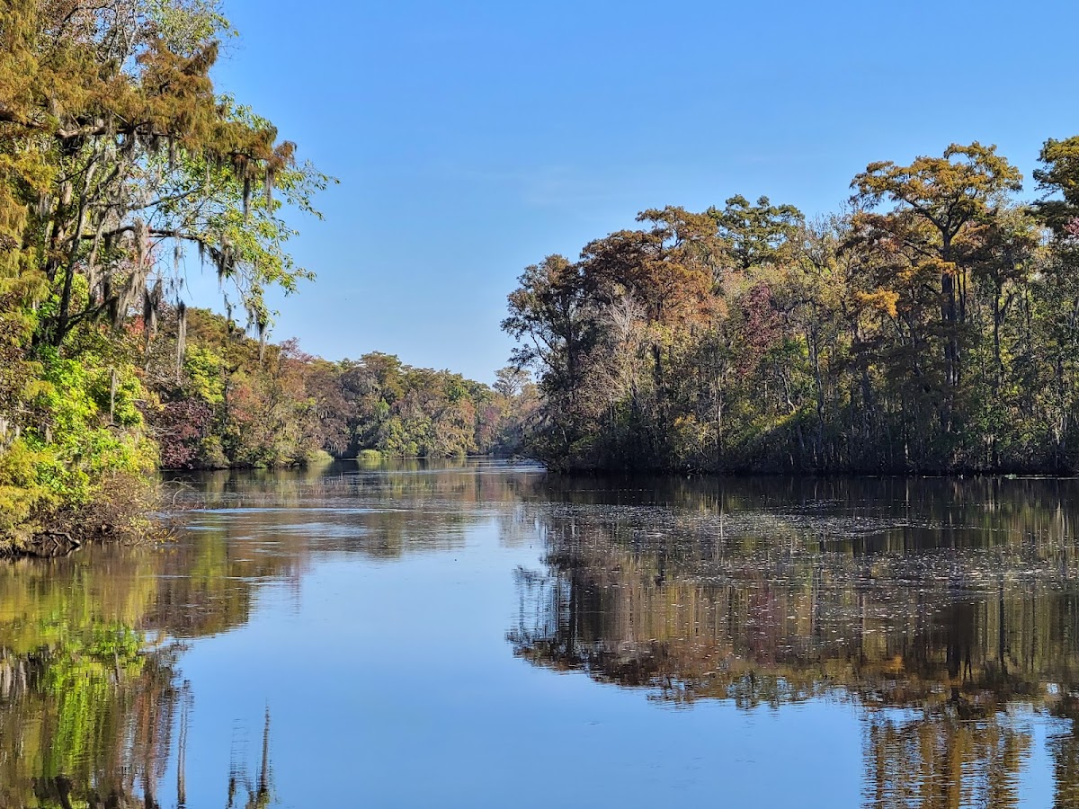 Waccamaw River, South Carolina