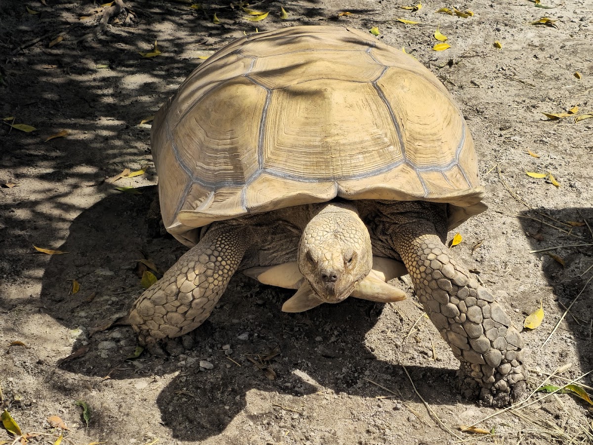 Water Conservation Area 3A North, Florida