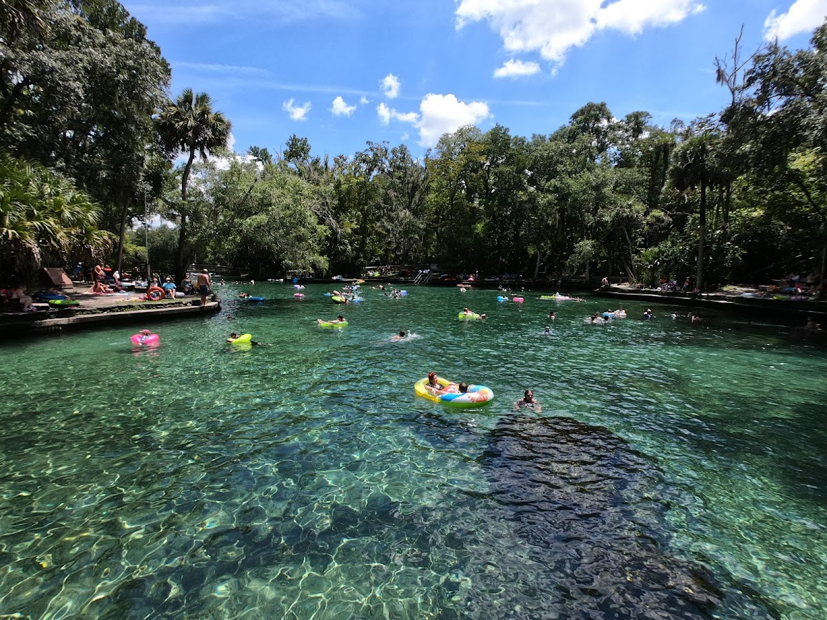 Wekiva River, Florida