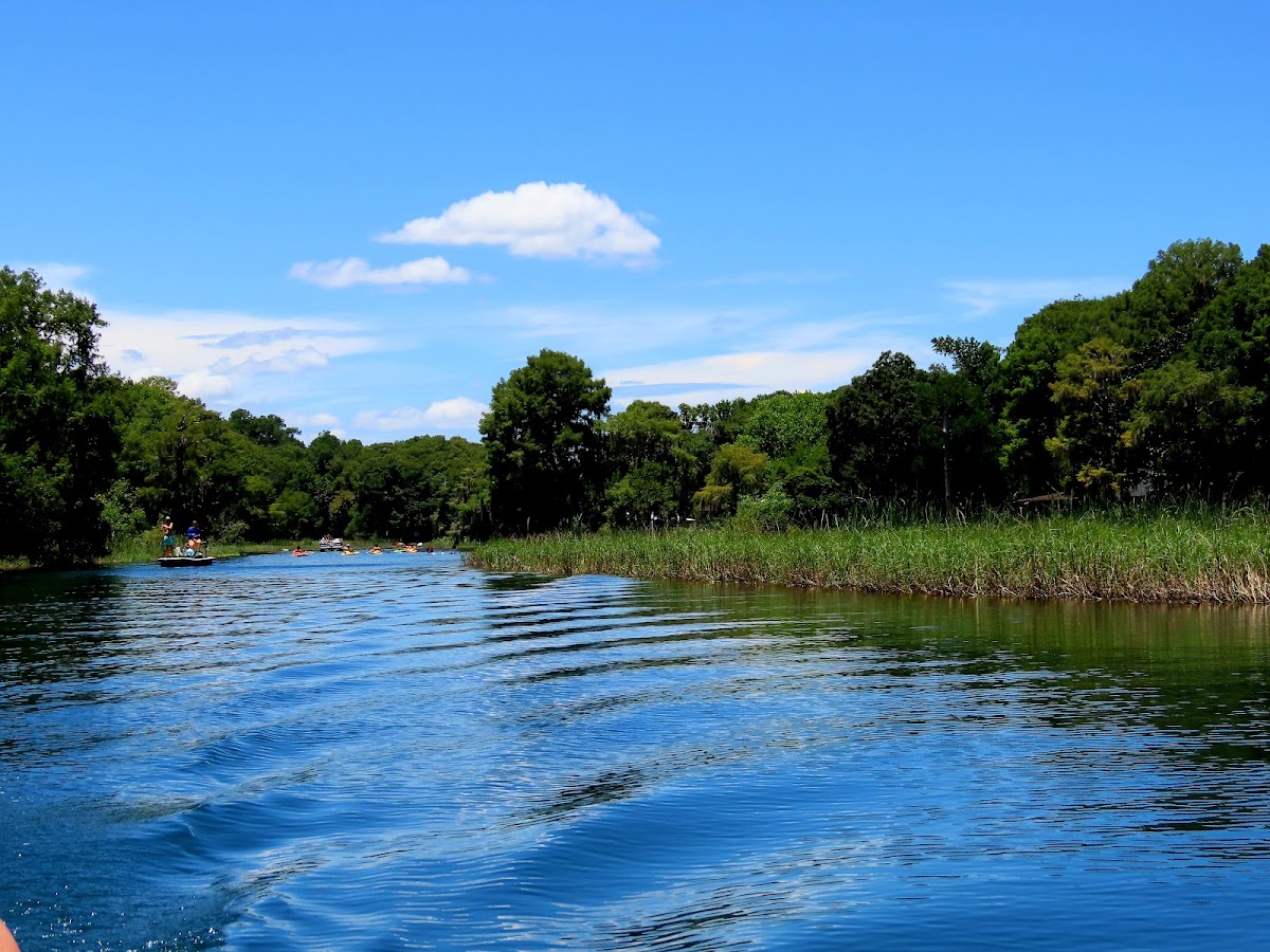Withlacoochee River (West Central Florida), Florida